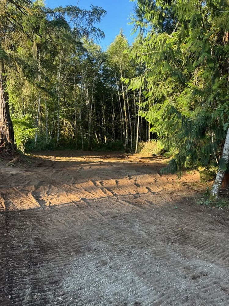 Cleared ground with a dense wall of fir and alder left along the property line